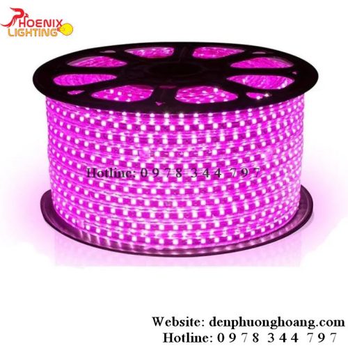 LED DÂY 5050 MÀU HỒNG