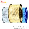 Led Dây 2835 Hai Hàng Led Cuộn 100 Mét