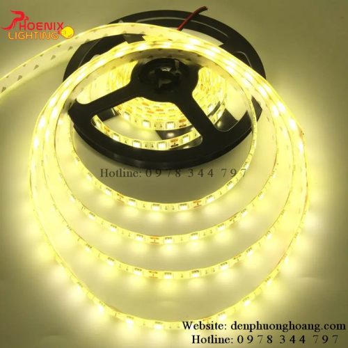 Led dây dán 5054 12V