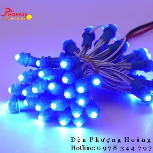 Đèn LED Dây Cuốn Cây Thả Ngoài Trời Chống Nước Led Đúc F5 12V
