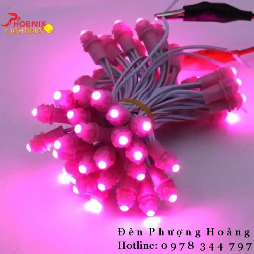 Đèn LED Dây Cuốn Cây Thả Ngoài Trời Chống Nước Led Đúc F5 12V