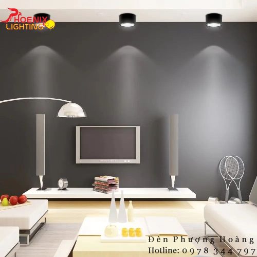 Đèn Bơ Ốp Nổi LED 12W Vỏ Đen Vỏ Trắng h5